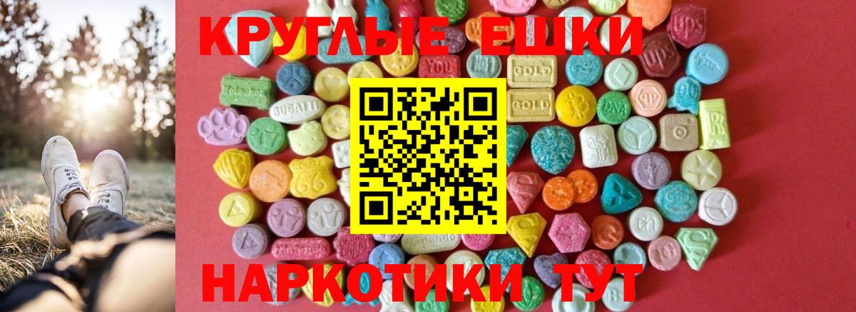 A PVP Рязань