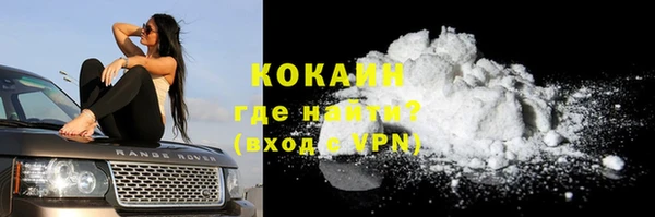 прущие грибы Красноперекопск