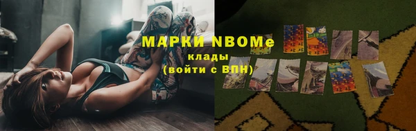 прущие грибы Красноперекопск