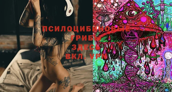 прущие грибы Красноперекопск