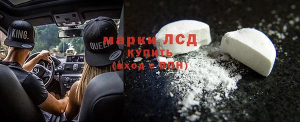 прущие грибы Красноперекопск
