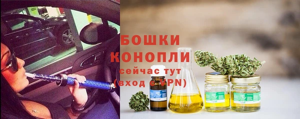 ГАЛЛЮЦИНОГЕННЫЕ ГРИБЫ Краснотурьинск