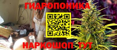 бошки Будённовск