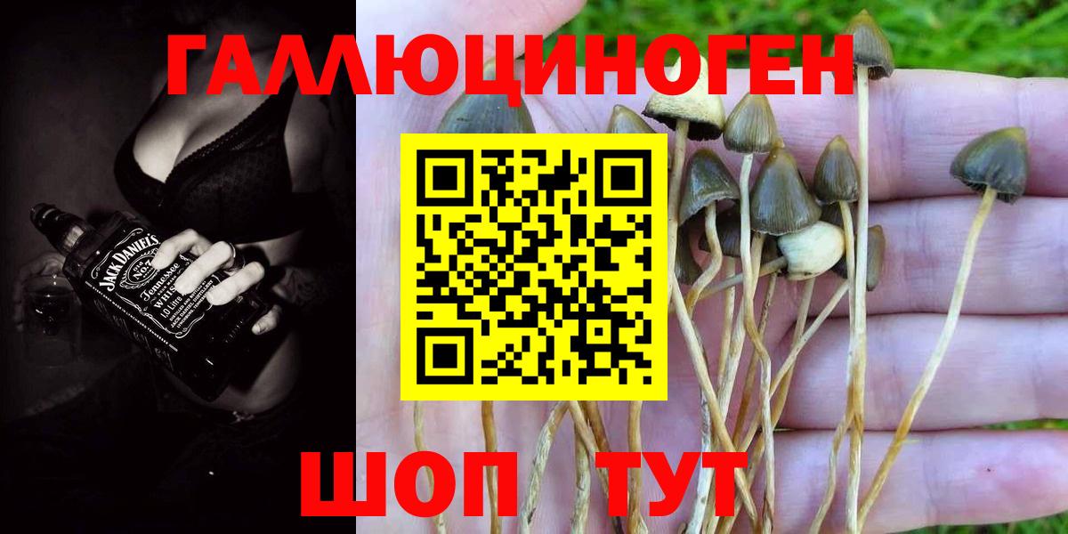 Псилоцибиновые грибы Magic Shrooms Рязань