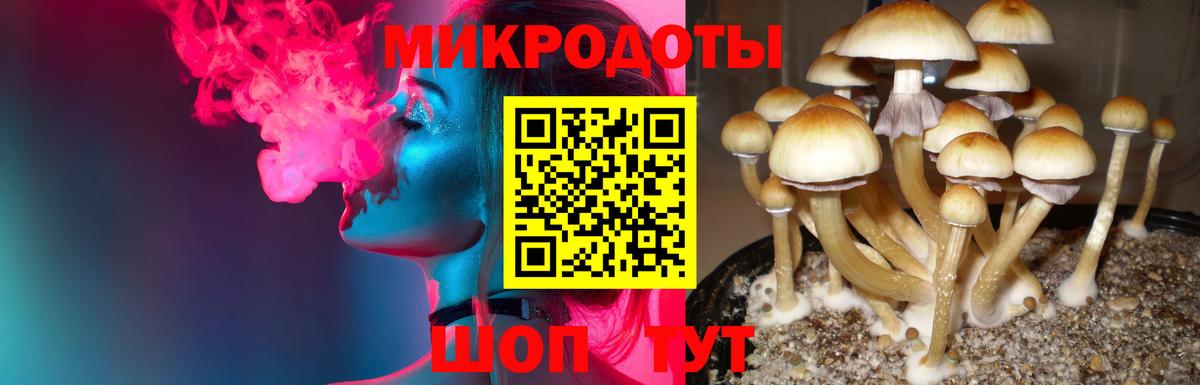 Псилоцибиновые грибы мицелий  Галлюциногенные грибы мицелий  Вход с VPN  Рязань 