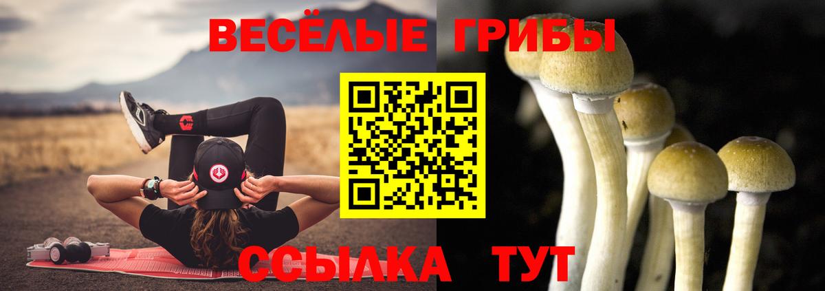 Галлюциногенные грибы Psilocybine cubensis  Рязань 